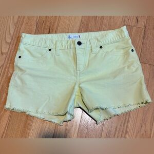 Carve designs Oahu shorts